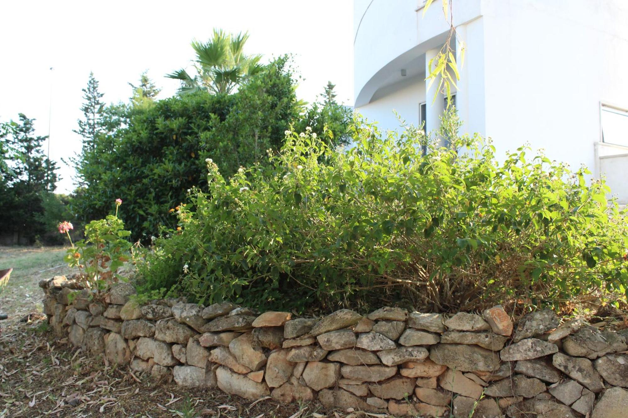 Apartamento Boat Dreams , Garden Relax Matino Exterior foto